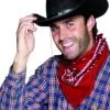 Bandana Cowboy