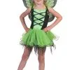 Groene Vlinder Villeintje Meisje Kostuum