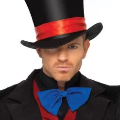 Heren Hogen Hoed Fluweel