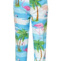 Tropisch Flaminguy Jongen Kostuum -Dans & Entertainment Verkoop osbo 0013 3 10