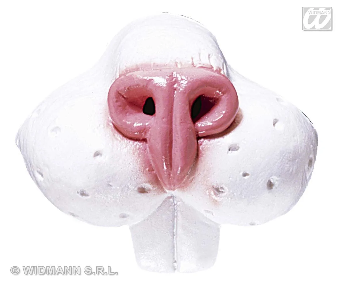 Neus, Konijn 1 Neus, Konijn