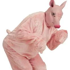 Cartoony Masker, Varken -Dans & Entertainment Verkoop wdm 2017 96643 2 8